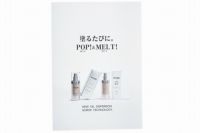 V3 パーティクルプライマー パンフレット