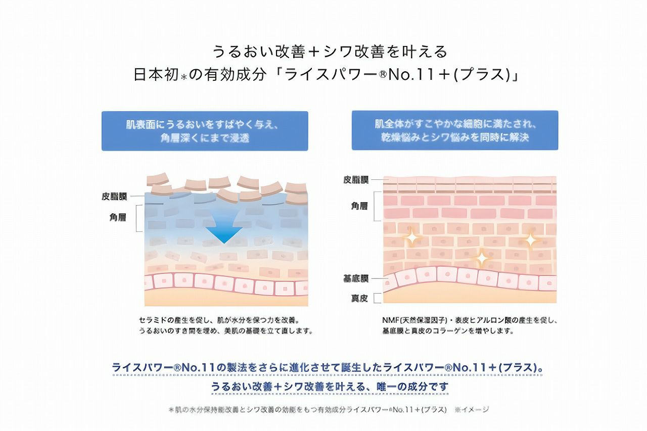 セラム シールド