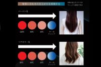 アイビル ブラシレスモーター ドライヤー